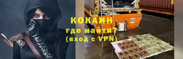 трава Корсаков