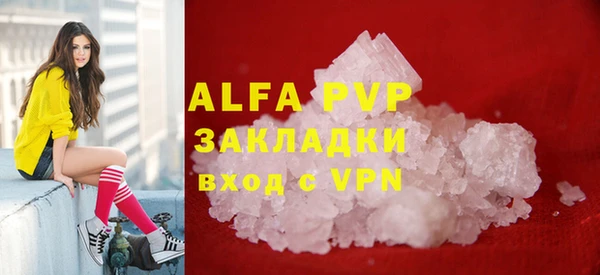 трава Корсаков