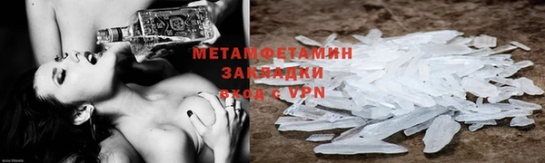 трава Корсаков