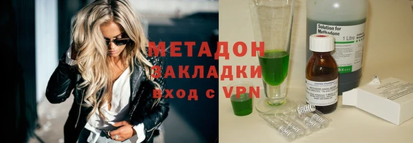 трава Корсаков