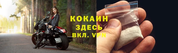 трава Корсаков