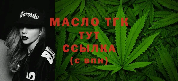 трава Корсаков