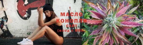 трава Корсаков