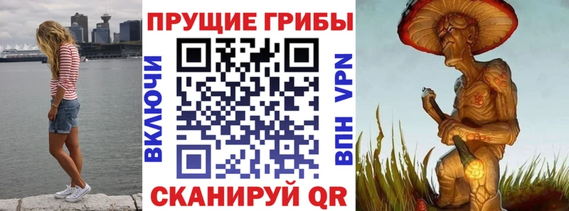 Галлюциногенные грибы Psilocybine cubensis Купить Дубна