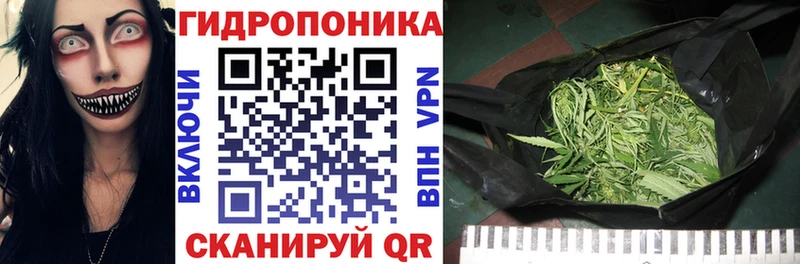 Купить  Дубна  Конопля Bruce Banner 